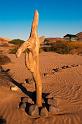 20090606_081304 D3 X1